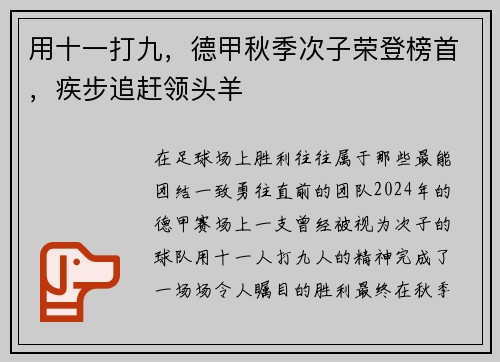 用十一打九，德甲秋季次子荣登榜首，疾步追赶领头羊
